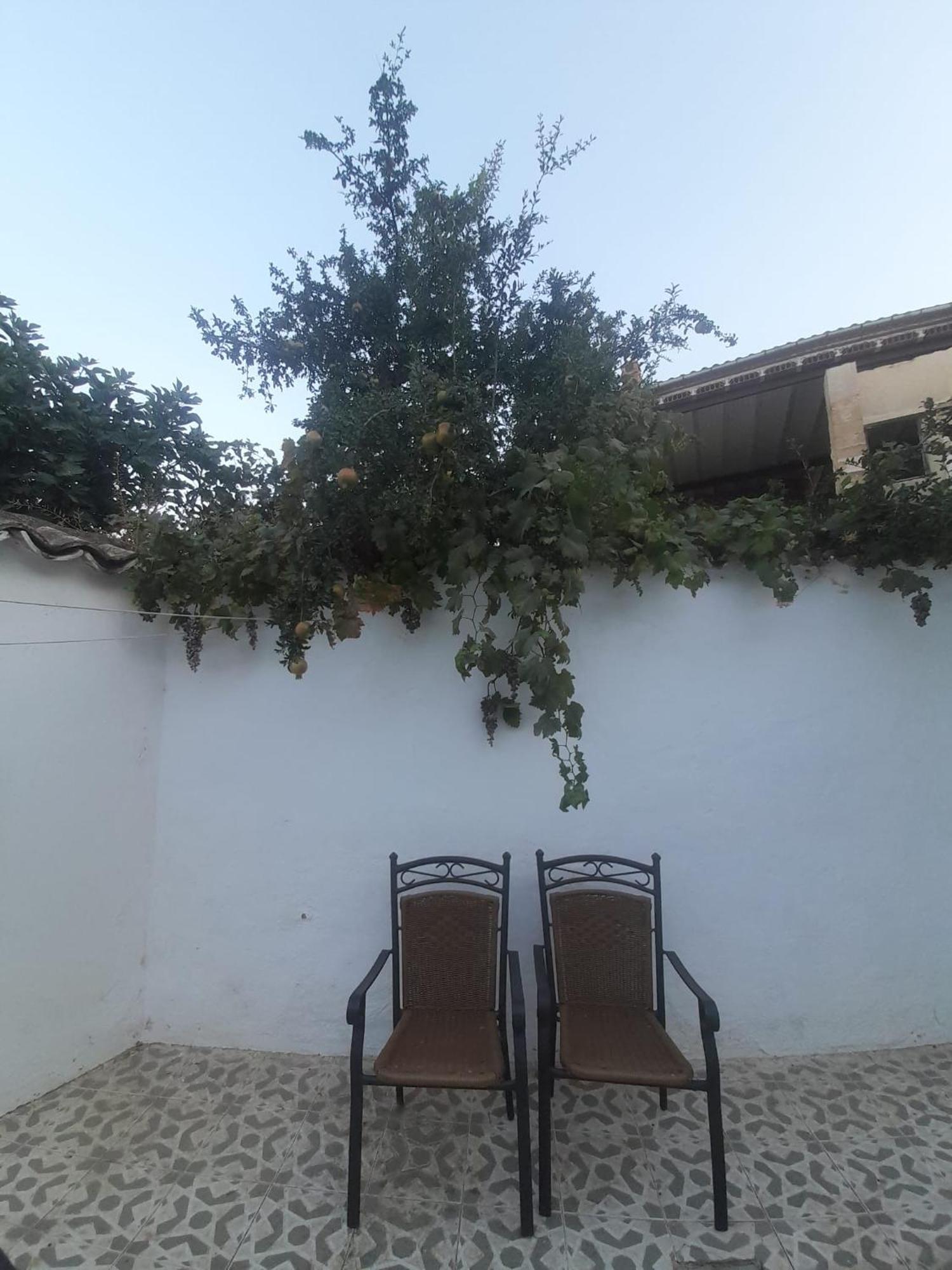 Villa El Molino De Aceite à Baeza Extérieur photo